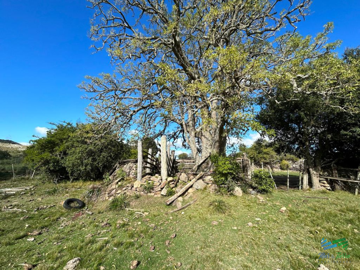 Campo Ref.4336 - Lindo campo para fraccionar, sobre ruta y a poco mas de 1 hora de Punta