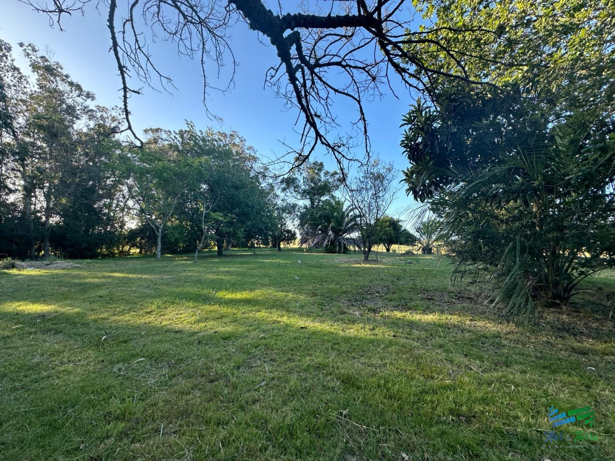 Campo Ref.4636 - Precioso Campito de 80 Has a 15 minutos del mar y sobre asfalto, DESESTRESATE !