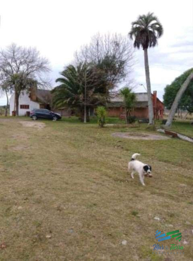 Campo Ref.4503 - Buen campo ganadero con muy buen acceso sobre ruta