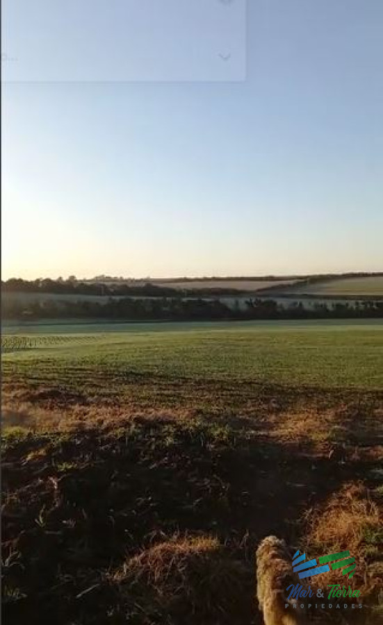 Campo Ref.4325 - Excelente ubicación, Campo Mixto a poca distancia de Mercedes, todo hecho a  nuevo !