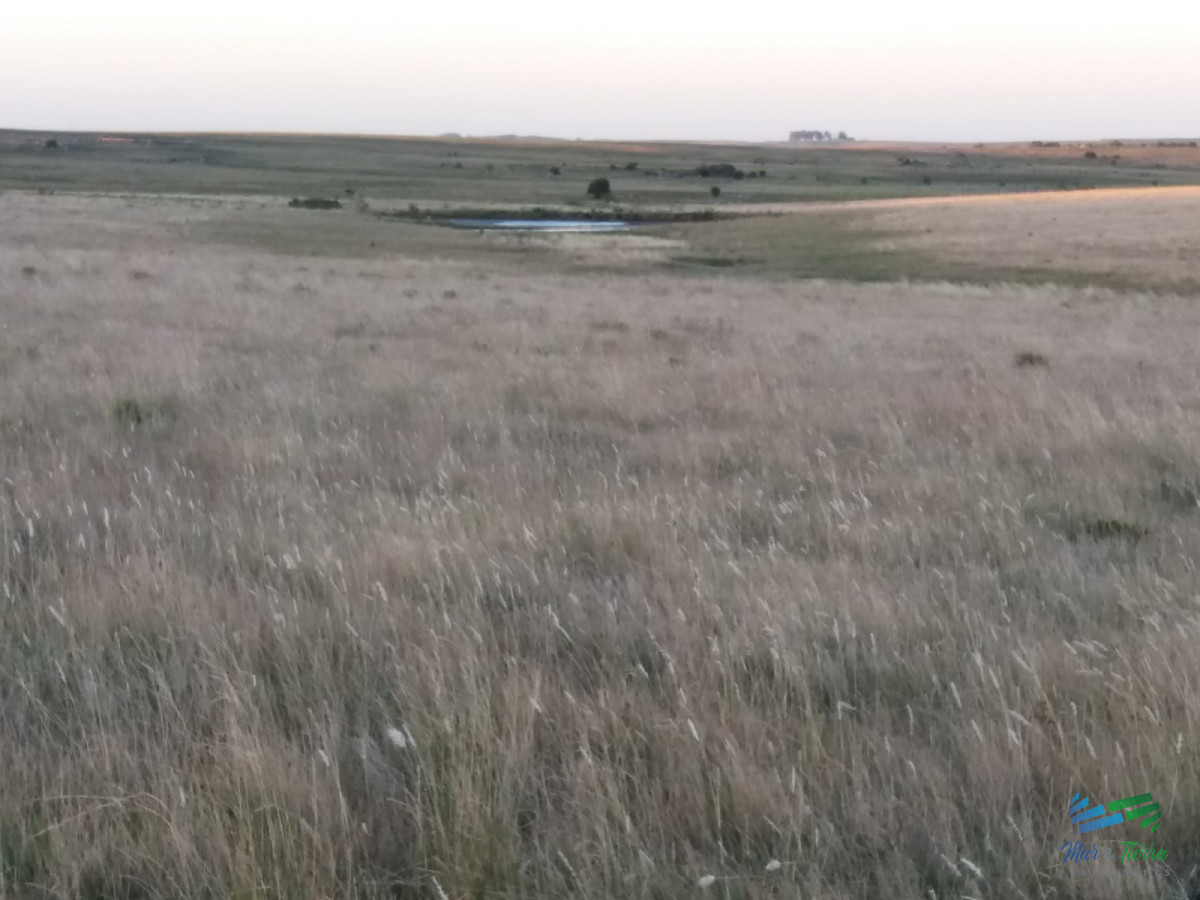 Campo Ref.3743 - 583 Has Ganaderas Especiales...!