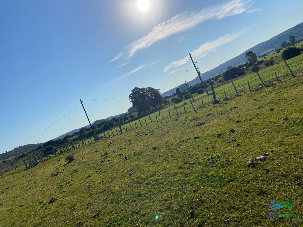 Campo Ref.4335 - Buen campo mixto a 1 hora de Punta, buen acceso e instalaciones.