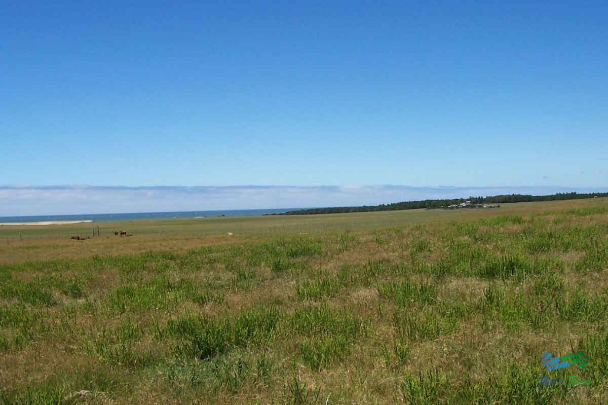 Campo Ref.3906 - 145 Has al Sur de Ruta 10 con vista al Mar, Precio Reducido !