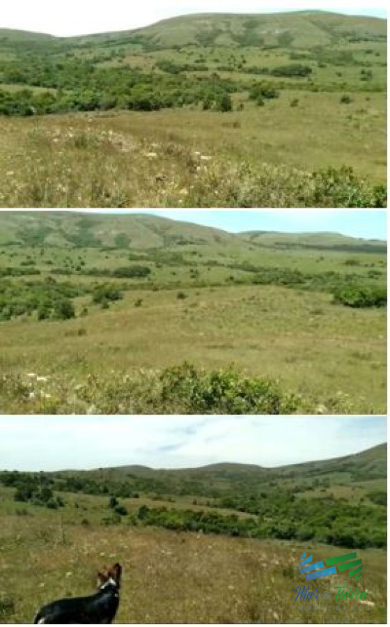 Campo Ref.4502 - Linda fracción de campo ganadero con aptitud forestal