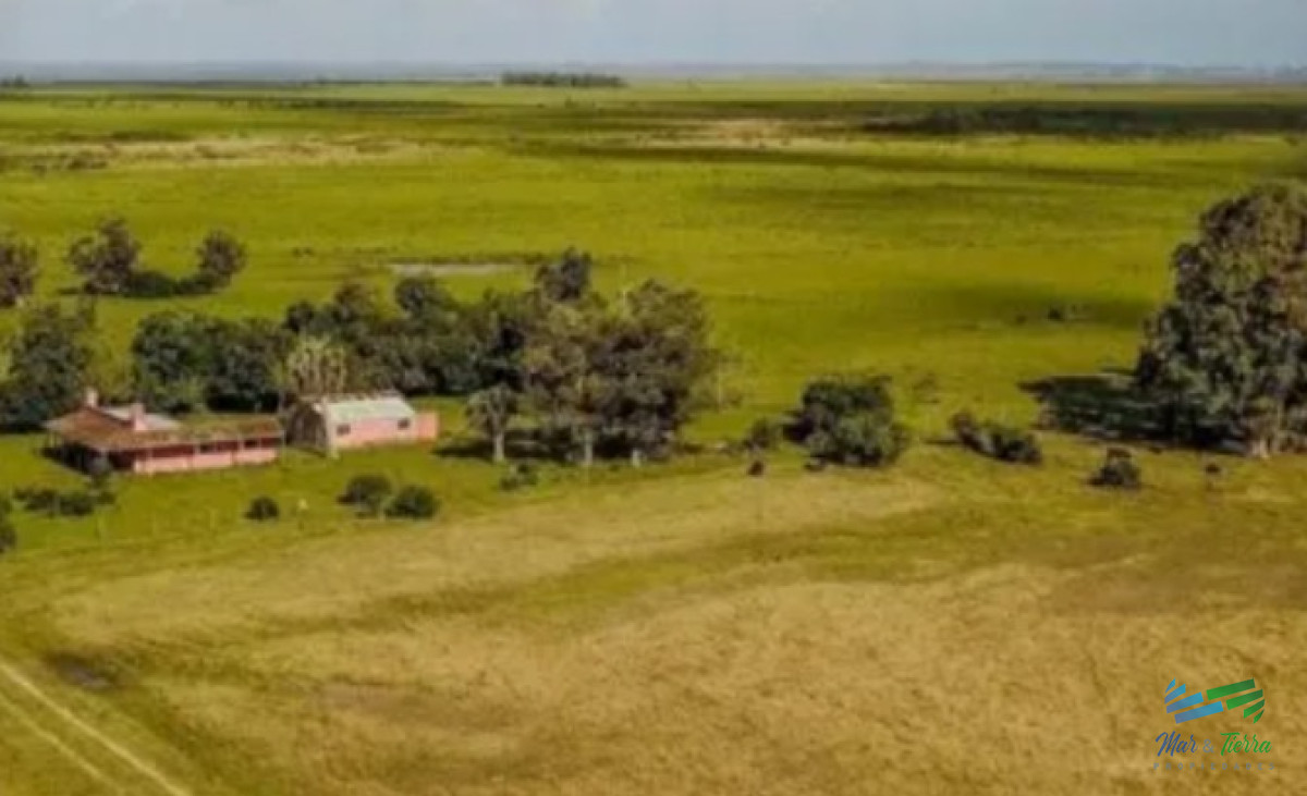 Campo Ref.3756 - Excelente Estancia Completa Agrícola-Ganadera, sobre R.9 y Costa Laguna Castillos