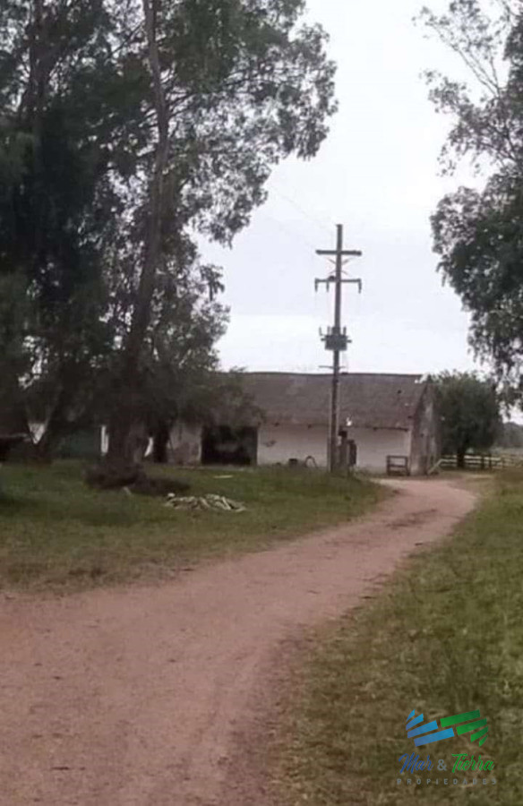 Campo Ref.4231 - 445 Has Campo Ganadero
