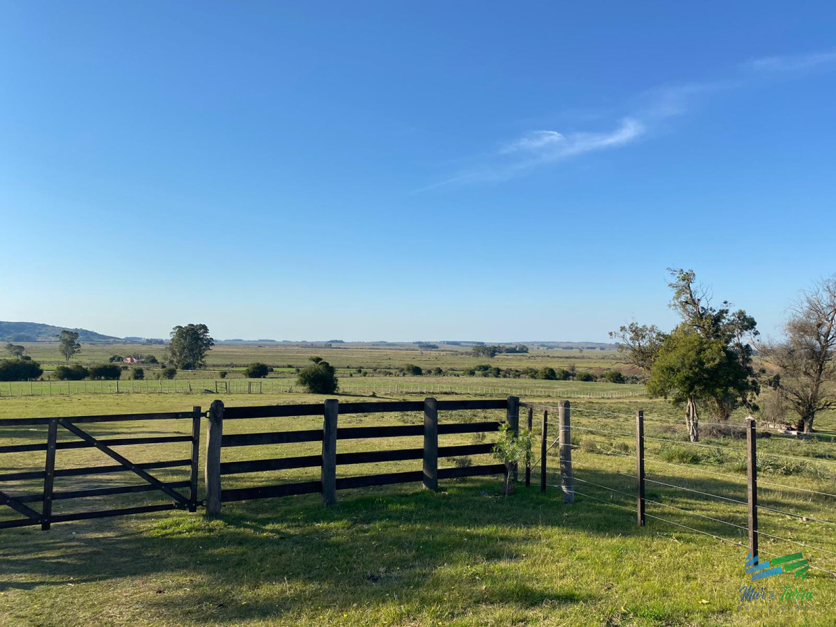 Campo Ref.4335 - Buen campo mixto a 1 hora de Punta, buen acceso e instalaciones.