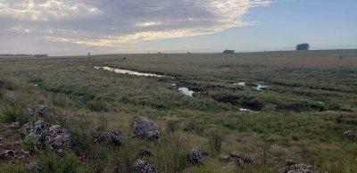 900 Has en Artigas, Estancia Completa