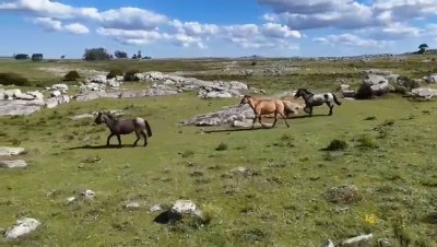 Gran Potencial Turístico, apto para fraccionamiento de chacras en ubicación inmejorable.