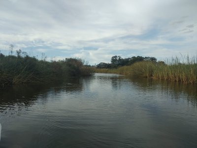 Muy linda fracción de 138 Has en Las Garzas