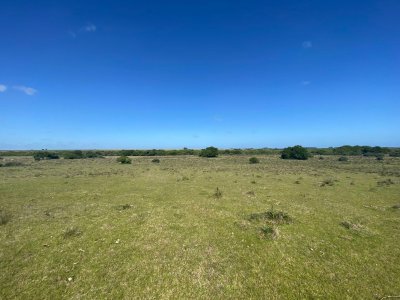 Imperdible Oportunidad Campo con Potencial de Fraccionar en Chacras al lado de Punta.