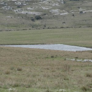 BAJO DE PRECIO...Campo sobre R.12 y a menos de 1 hora de Punta. Suelos 2.12, buenas vistas y gran potencial turístico !