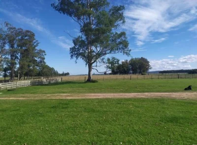 Campo Arrocero-Ganadero 1.636 Has sobre Ruta