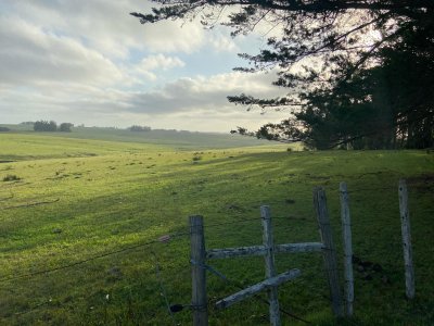 Precioso Campito de 80 Has a 15 minutos del mar y sobre asfalto, DESESTRESATE !