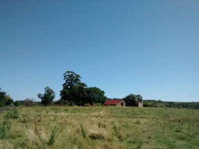 Lindo campo ganadero de 78 Has muy bien ubicado, muy pintoresco.