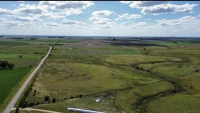 150 Has Campo Agrícola Ganadero a tan solo 10 Kms de Florida