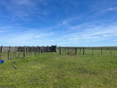 3.000 Has en Tacuarembó Campo Ganadero
