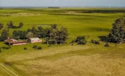 Excelente Estancia Completa Agrícola-Ganadera, sobre R.9 y Costa Laguna Castillos