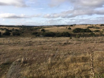 Campo en venta de 104 Has en Garzon