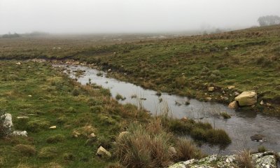 198 Has sobre Ruta 12, Arroyo, Monte Nativo a 15 kms de P. Edén