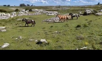 Gran Potencial Turístico, apto para fraccionamiento de chacras en ubicación inmejorable.