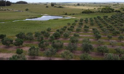 Establecimiento productivo completo, a pocos Kms de Garzón y de R.9, inmejorable ubicación.