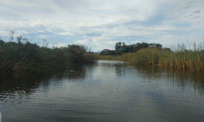 Muy linda fracción de 138 Has en Las Garzas