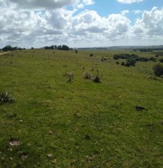 Linda Fraccion de Campo Agricola - Ganadero 177 Has Castillos