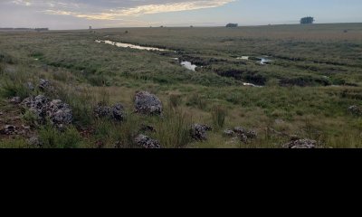 Campo Mixto Agrícola-Ganadero, muy buena ubicación a 1 hora 20 min de Mdeo!