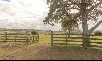 Estancia de 882 Has, campo mixto Ganadero - Forestal muy bien ubicado