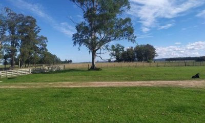 Campo Arrocero-Ganadero 1.636 Has sobre Ruta