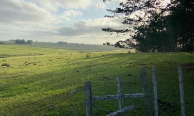 Precioso Campito de 80 Has a 15 minutos del mar y sobre asfalto, DESESTRESATE !