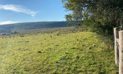 Buen campo mixto a 1 hora de Punta, buen acceso e instalaciones.