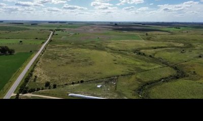 150 Has Campo Agrícola Ganadero a tan solo 10 Kms de Florida (Bajo de Precio) !