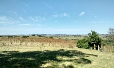 60 Has Garzón a 10 Kms del Pueblo