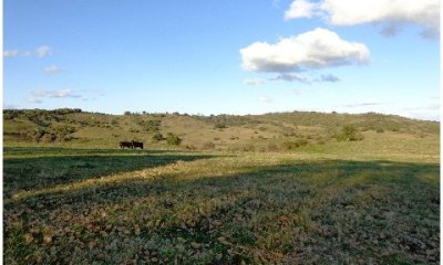 Pintoresco campo Ganadero muy bien ubicado.