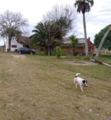 Buen campo ganadero con muy buen acceso sobre ruta