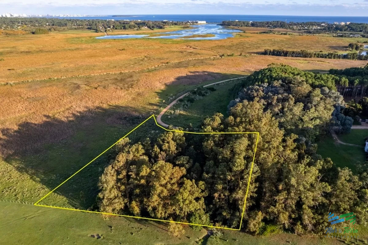 Camino Lussich - GoPunta - Portal Inmobiliario de Punta del Este - Maldonado