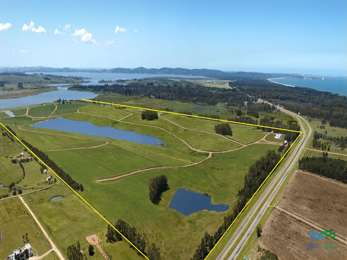 Laguna de los Cisnes - GoPunta - Portal Inmobiliario de Punta del Este - Maldonado