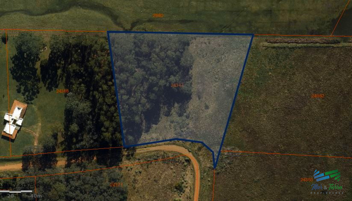 Camino Lussich - GoPunta - Portal Inmobiliario de Punta del Este - Maldonado