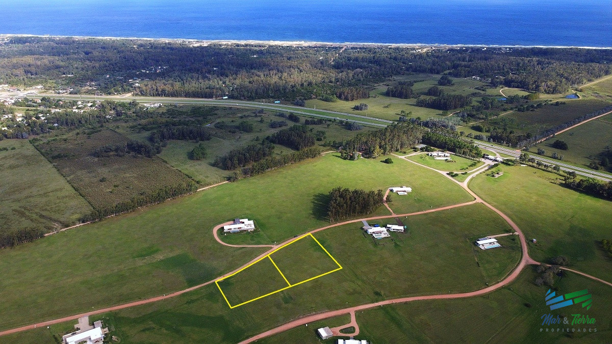 Laguna de los Cisnes - GoPunta - Portal Inmobiliario de Punta del Este - Maldonado
