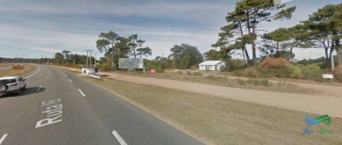 Tio Tom - GoPunta - Portal Inmobiliario de Punta del Este - Maldonado