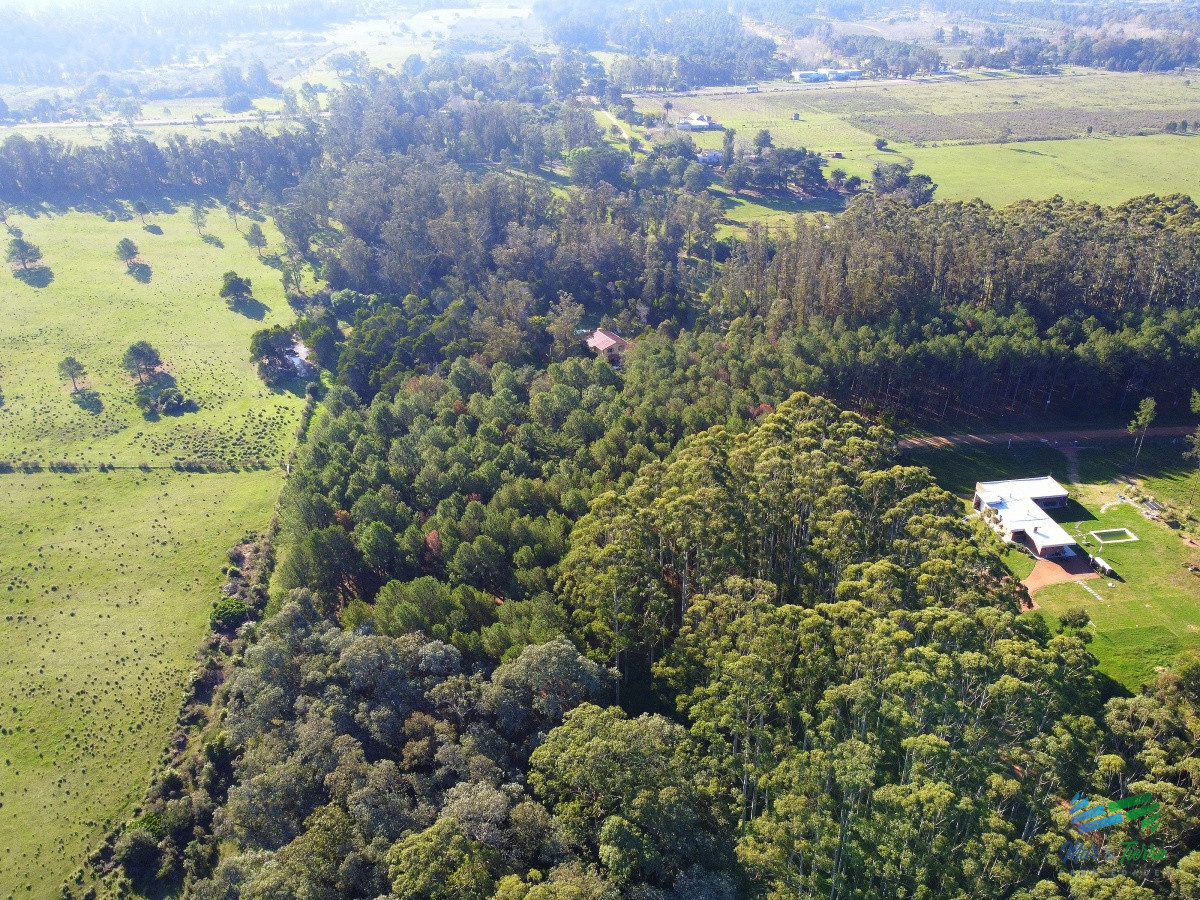 Terreno ID.4363 - Venta de terreno de 10.000 m2 en Las Silvias, Punta del este