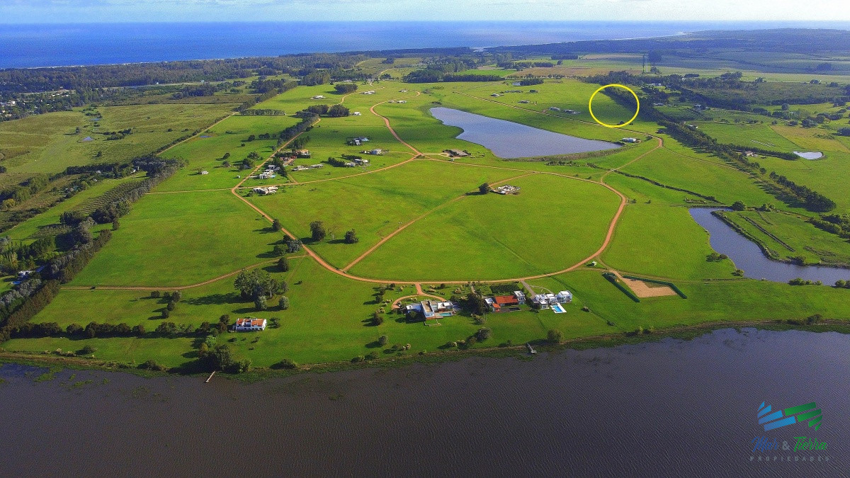 Laguna de los Cisnes - GoPunta - Portal Inmobiliario de Punta del Este - Maldonado