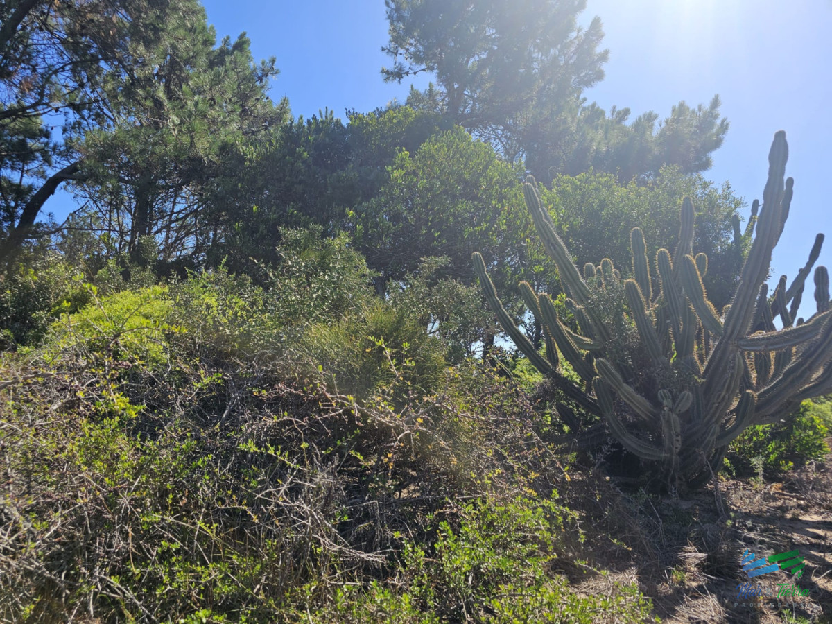 Terreno ID.5670 - Venta de terreno a 50 metros de playa Mansa