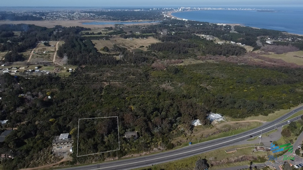 Terreno ID.5424 - Venta de terreno Panorámico en el Lomo de Punta Ballena – Punta del Este - Maldonado, Uruguay