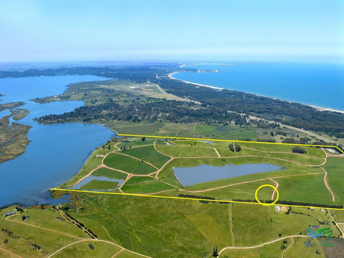 Laguna de los Cisnes - GoPunta - Portal Inmobiliario de Punta del Este - Maldonado