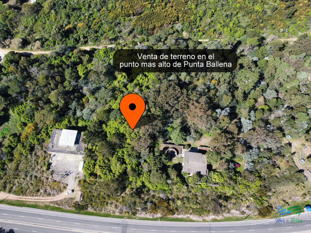 Lomo de la Ballena - GoPunta - Portal Inmobiliario de Punta del Este - Maldonado
