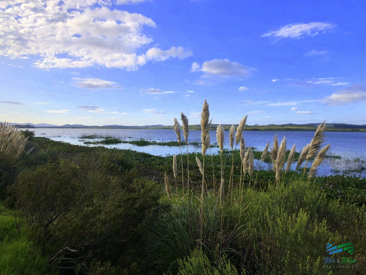 Terreno ID.4256 - Terreno de mas de 5000 m2 con costa de laguna en Laguna de los Cisnes
