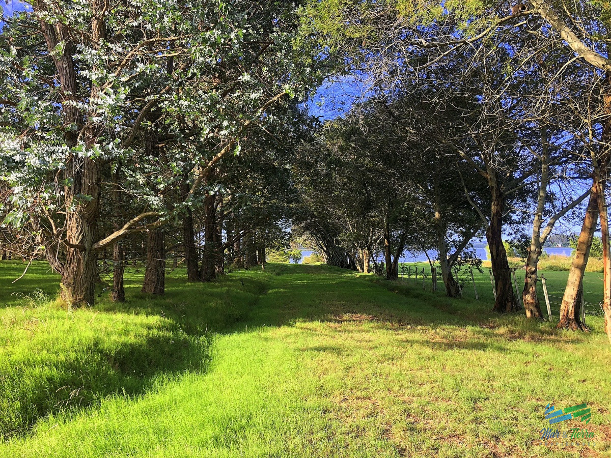 Terreno ID.4256 - Terreno de mas de 5000 m2 con costa de laguna en Laguna de los Cisnes